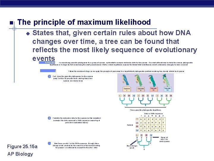  The principle of maximum likelihood u States that, given certain rules about how