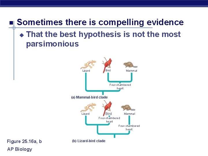  Sometimes there is compelling evidence u That the best hypothesis is not the