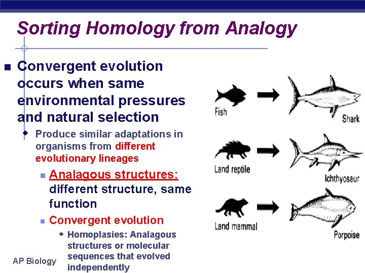 Sorting Homology from Analogy Convergent evolution occurs when same environmental pressures and natural selection