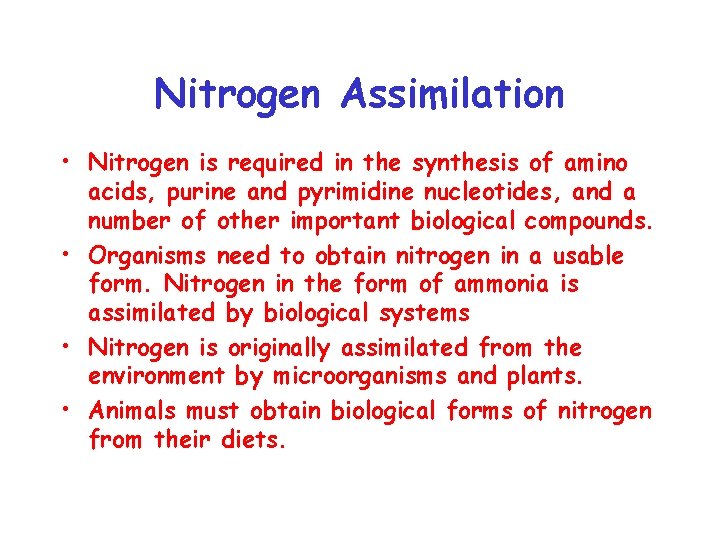 Nitrogen Assimilation • Nitrogen is required in the synthesis of amino acids, purine and
