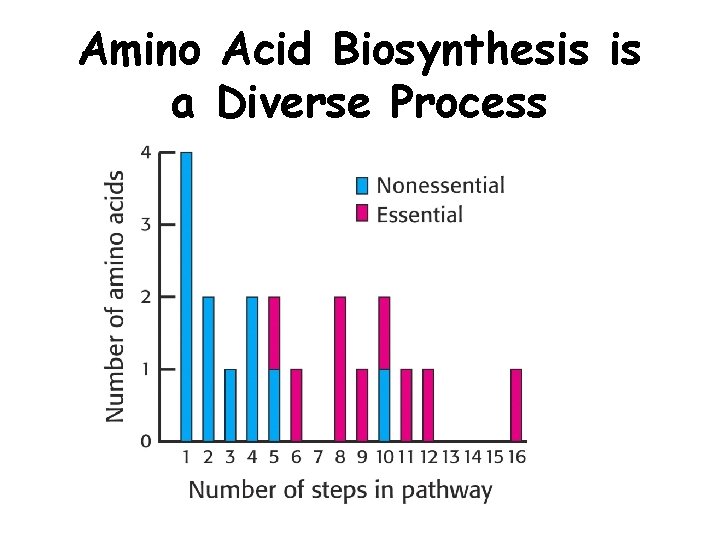 Amino Acid Biosynthesis is a Diverse Process 