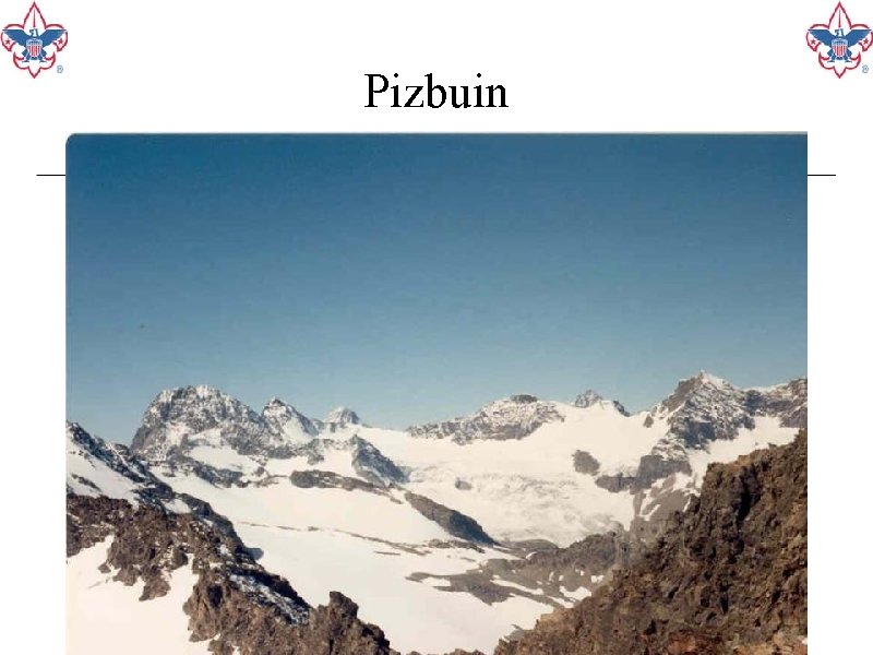 Pizbuin 