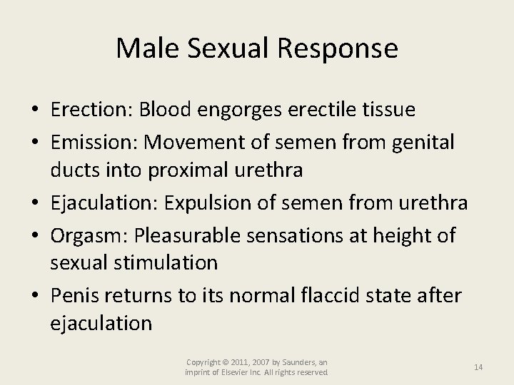 Male Sexual Response • Erection: Blood engorges erectile tissue • Emission: Movement of semen