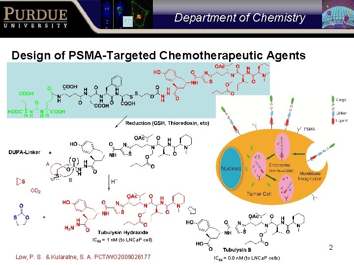 Department of Chemistry Design of PSMA-Targeted Chemotherapeutic Agents IC 50 = 1 n. M
