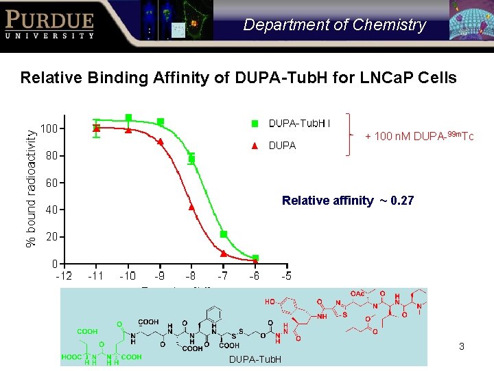 Department of Chemistry Relative Binding Affinity of DUPA-Tub. H for LNCa. P Cells +