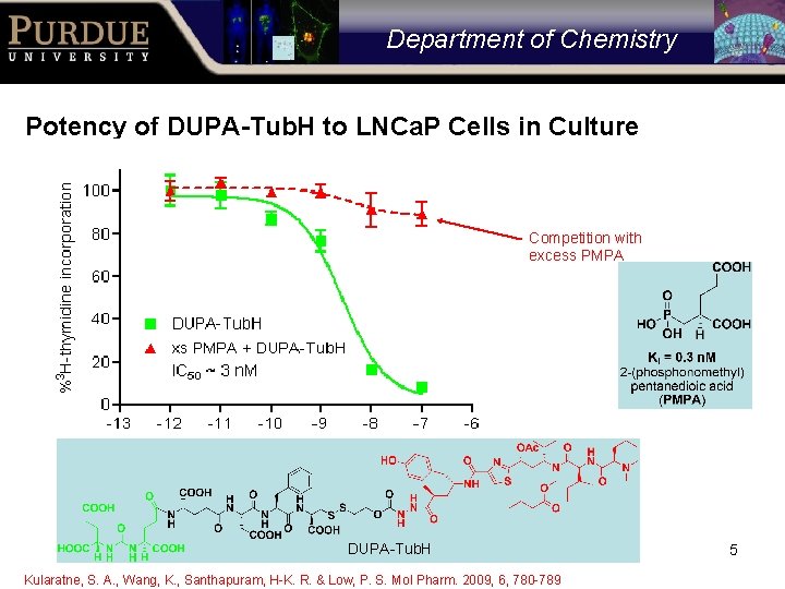 Department of Chemistry Potency of DUPA-Tub. H to LNCa. P Cells in Culture Competition