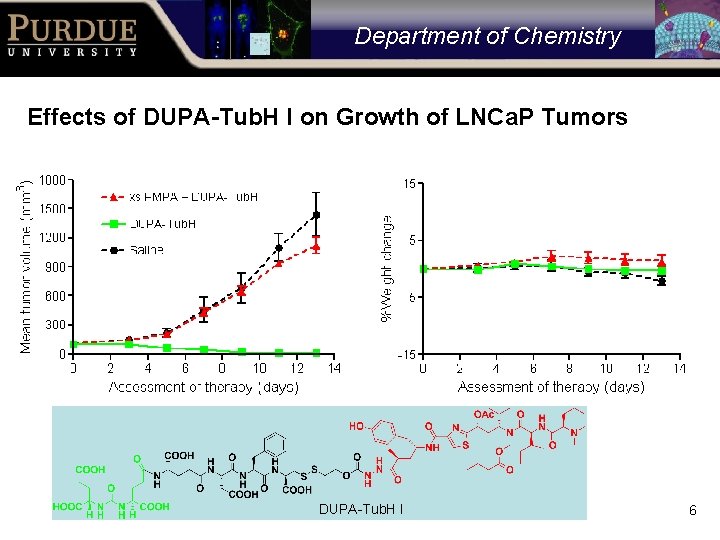 Department of Chemistry Effects of DUPA-Tub. H I on Growth of LNCa. P Tumors