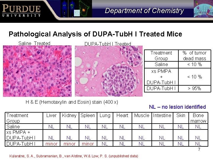 Department of Chemistry Pathological Analysis of DUPA-Tub. H I Treated Mice Saline Treated DUPA-Tub.