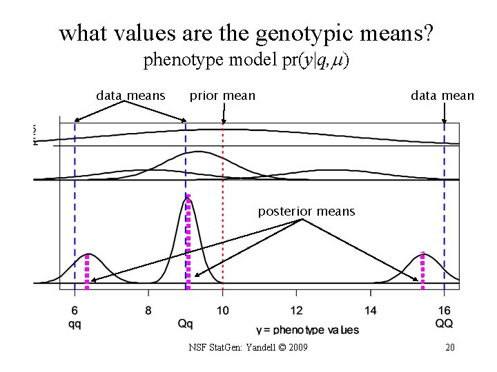 what values are the genotypic means? phenotype model pr(y|q, ) data means prior mean