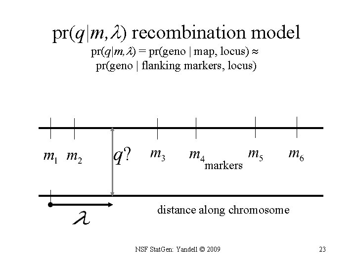 pr(q|m, ) recombination model pr(q|m, ) = pr(geno | map, locus) pr(geno | flanking