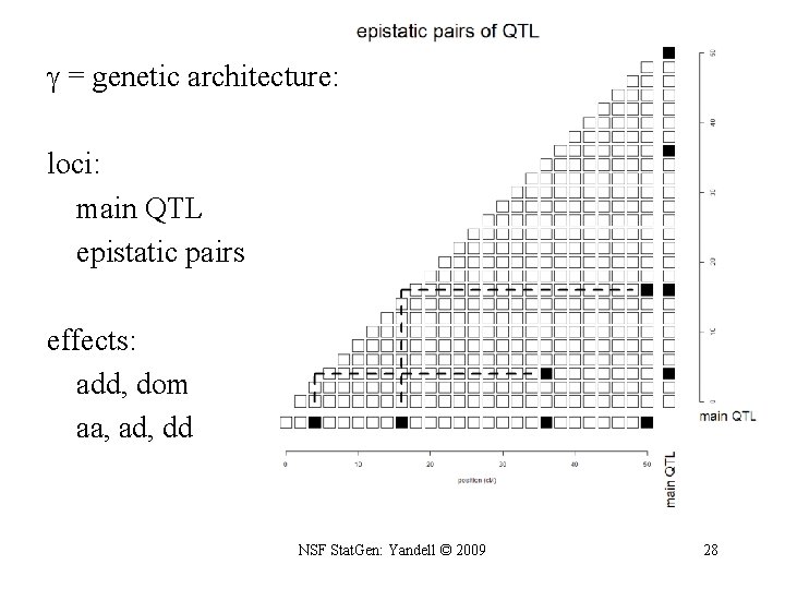  = genetic architecture: loci: main QTL epistatic pairs effects: add, dom aa, ad,