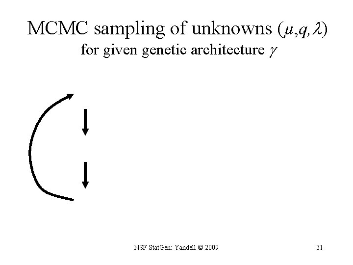 MCMC sampling of unknowns (µ, q, ) for given genetic architecture NSF Stat. Gen: