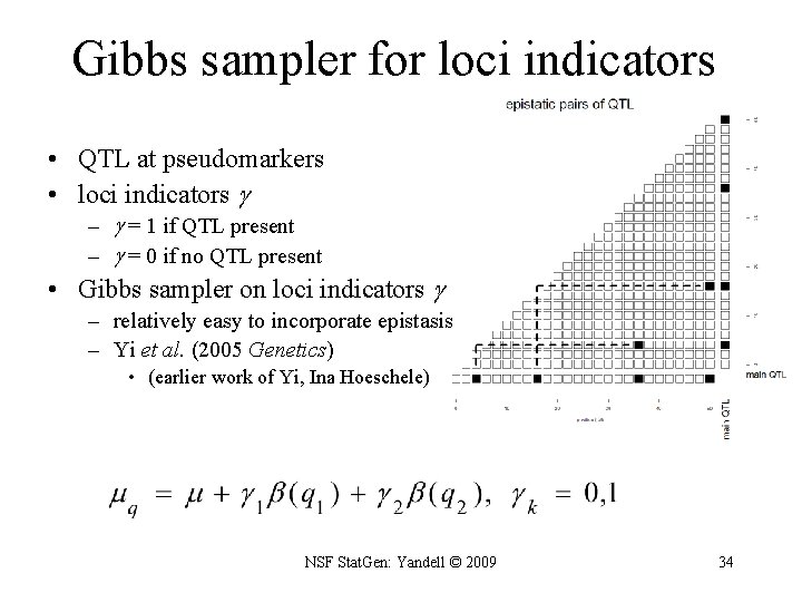 Gibbs sampler for loci indicators • QTL at pseudomarkers • loci indicators – =