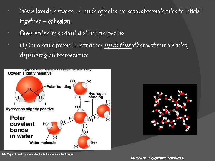  Weak bonds between +/- ends of poles causes water molecules to "stick" together