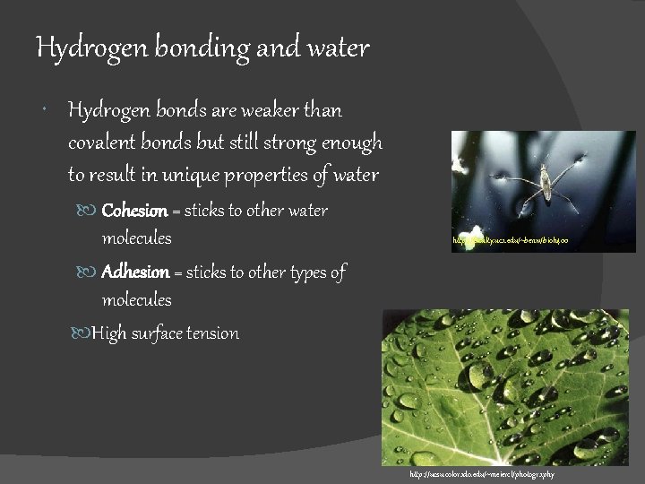 Hydrogen bonding and water Hydrogen bonds are weaker than covalent bonds but still strong