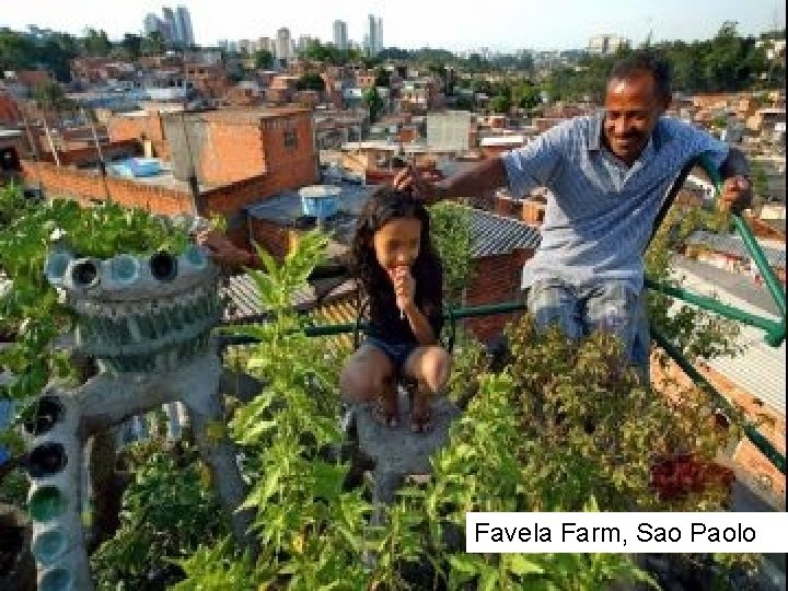 Favela Farm, Sao Paolo 15 