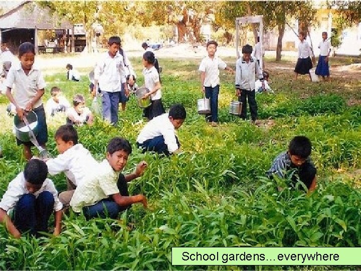 16 School gardens…everywhere 