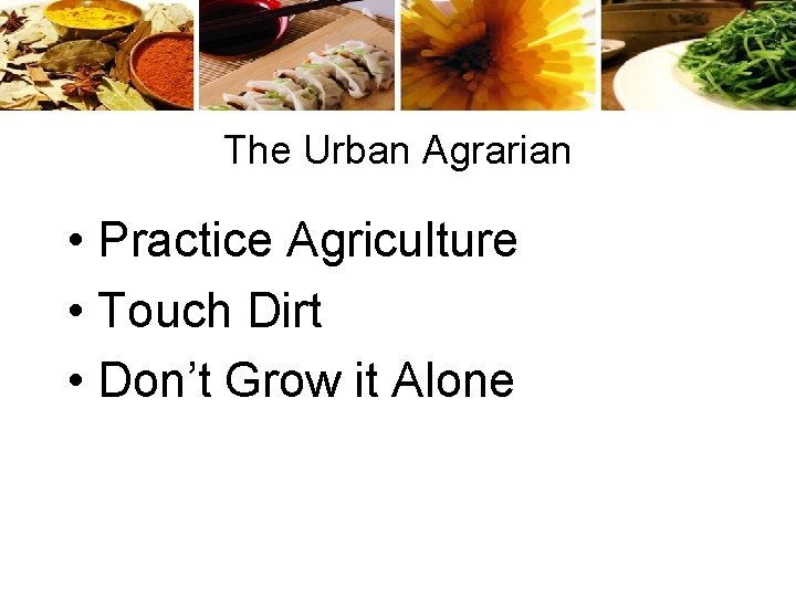 The Urban Agrarian • Practice Agriculture • Touch Dirt • Don’t Grow it Alone