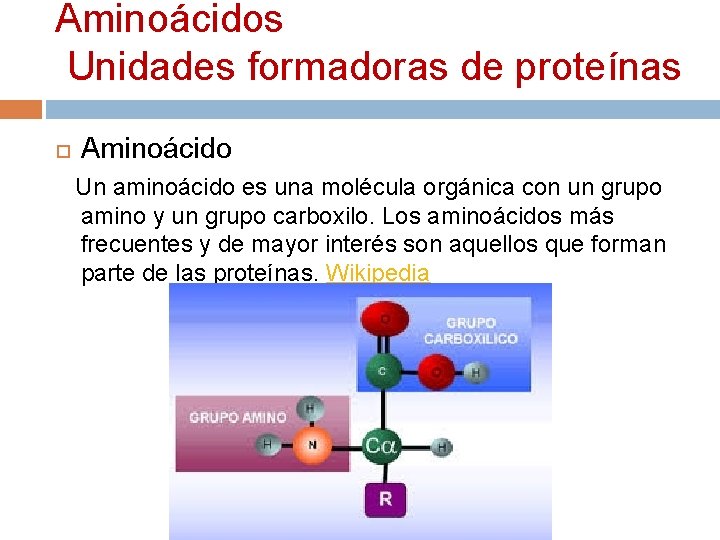Aminoácidos Unidades formadoras de proteínas Aminoácido Un aminoácido es una molécula orgánica con un