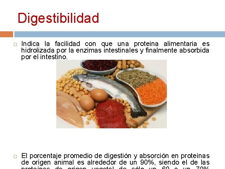 Digestibilidad Indica la facilidad con que una proteina alimentaria es hidrolizada por la enzimas