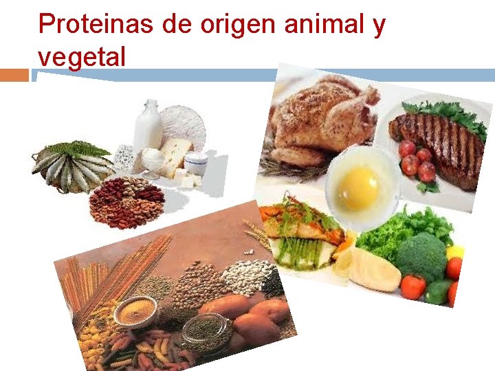 Proteinas de origen animal y vegetal 