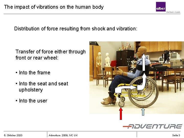 The impact of vibrations on the human body Distribution of force resulting from shock