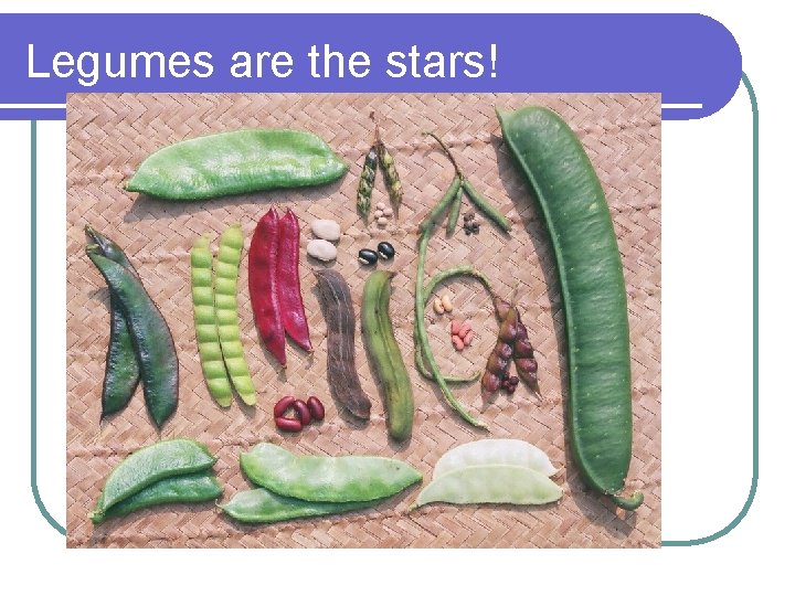 Legumes are the stars! 
