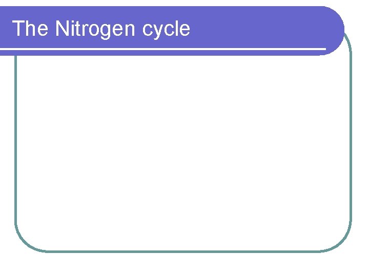 The Nitrogen cycle 