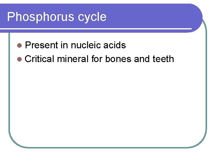 Phosphorus cycle l Present in nucleic acids l Critical mineral for bones and teeth