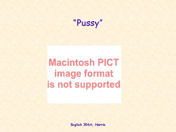 “Pussy” English 306 A; Harris  “Pussy” English 306 A; Harris
