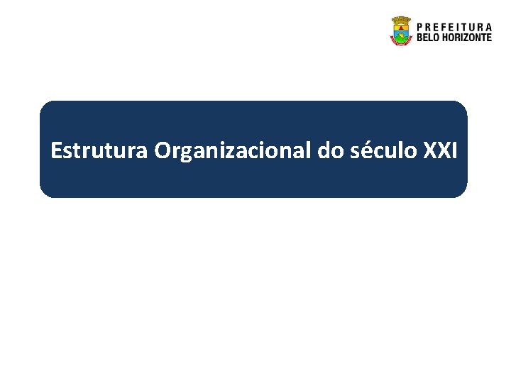 Estrutura Organizacional do século XXI 
