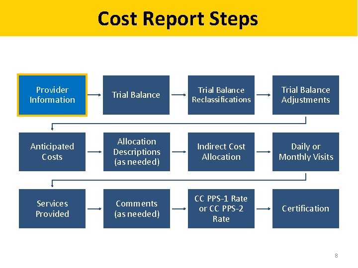 Cost Report Steps Provider Information Trial Balance Reclassifications Trial Balance Adjustments Anticipated Costs Allocation