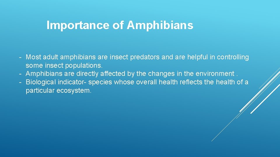 Importance of Amphibians - Most adult amphibians are insect predators and are helpful in