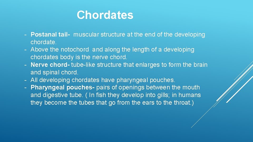 Chordates - Postanal tail- muscular structure at the end of the developing chordate. -