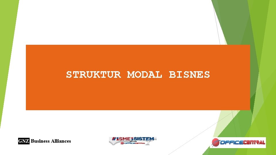 STRUKTUR MODAL BISNES GNZ Business Alliances 