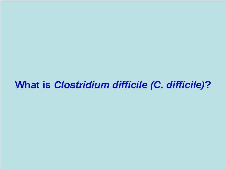 What is Clostridium difficile (C. difficile)? 
