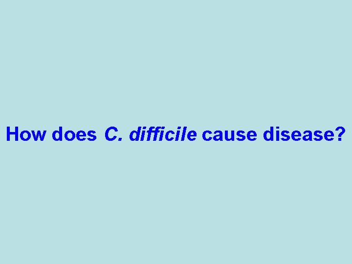 How does C. difficile cause disease? 