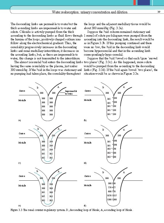 Water reabsorption: urinary concentration and dilution The descending limbs are permeable to water but