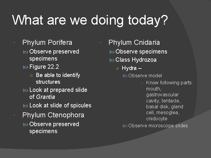 What are we doing today? Phylum Porifera Phylum Cnidaria Observe preserved Observe specimens Figure