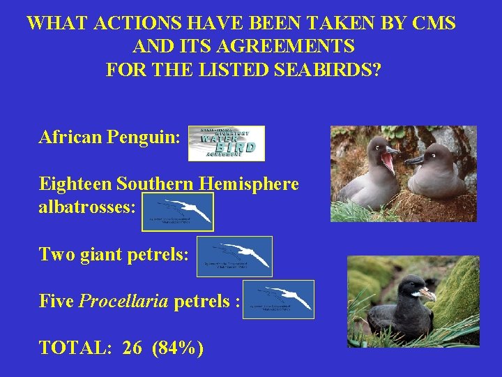 WHAT ACTIONS HAVE BEEN TAKEN BY CMS AND ITS AGREEMENTS FOR THE LISTED SEABIRDS?