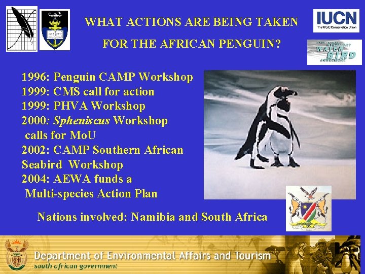 WHAT ACTIONS ARE BEING TAKEN FOR THE AFRICAN PENGUIN? 1996: Penguin CAMP Workshop 1999: