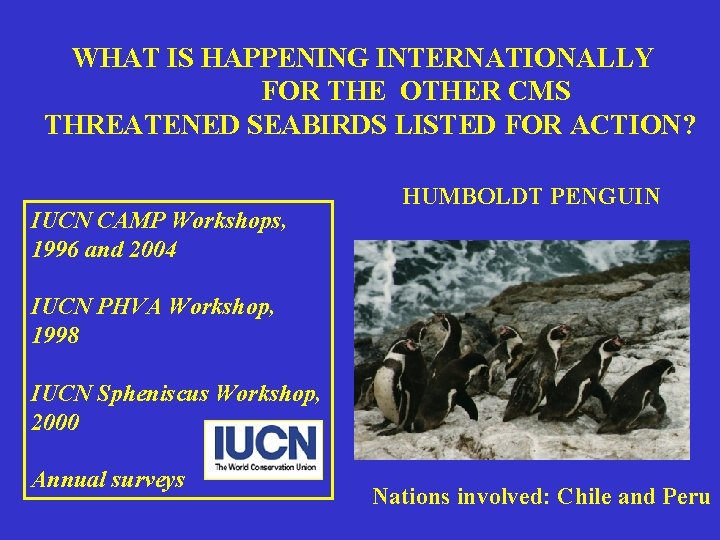 WHAT IS HAPPENING INTERNATIONALLY FOR THE OTHER CMS THREATENED SEABIRDS LISTED FOR ACTION? IUCN