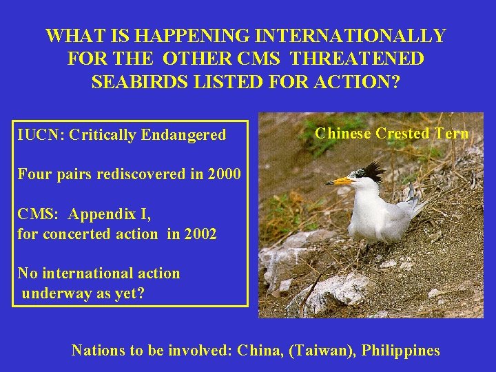 WHAT IS HAPPENING INTERNATIONALLY FOR THE OTHER CMS THREATENED SEABIRDS LISTED FOR ACTION? IUCN: