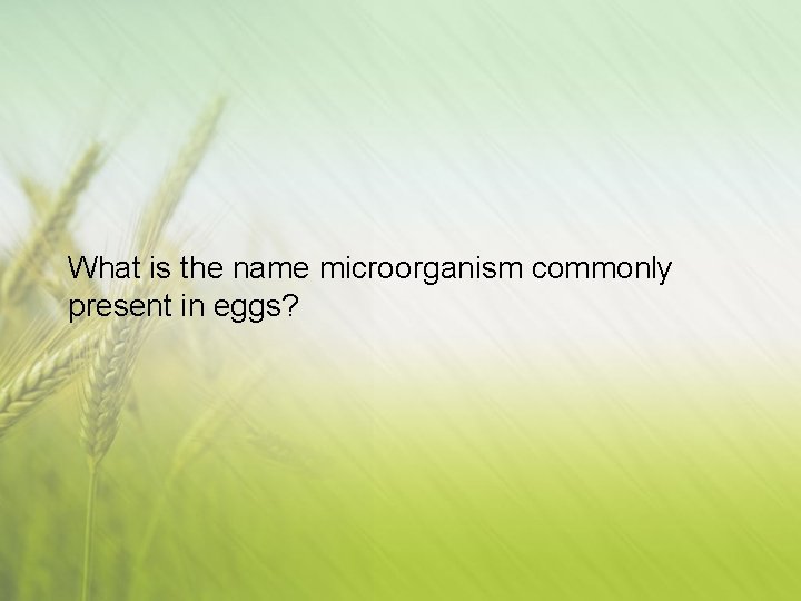 What is the name microorganism commonly present in eggs? 
