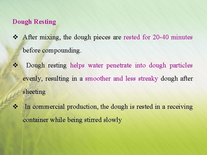 Dough Resting v After mixing, the dough pieces are rested for 20 -40 minutes