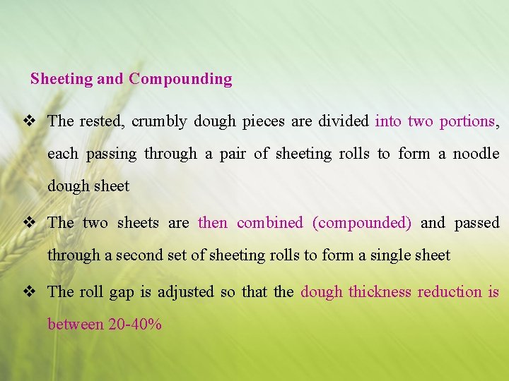 Sheeting and Compounding v The rested, crumbly dough pieces are divided into two portions,