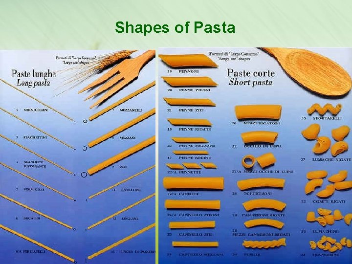 Shapes of Pasta 