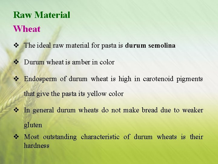 Raw Material Wheat v The ideal raw material for pasta is durum semolina v