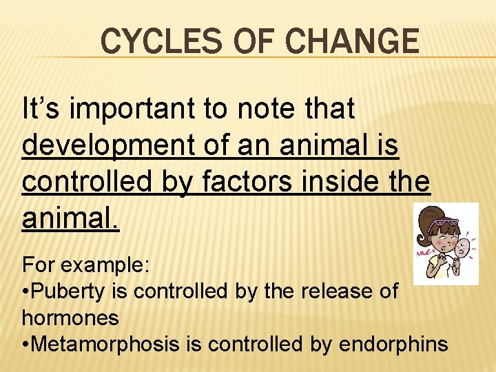 CYCLES OF CHANGE It’s important to note that development of an animal is controlled