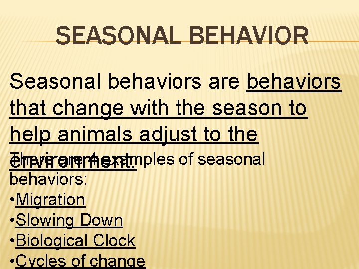 SEASONAL BEHAVIOR Seasonal behaviors are behaviors that change with the season to help animals